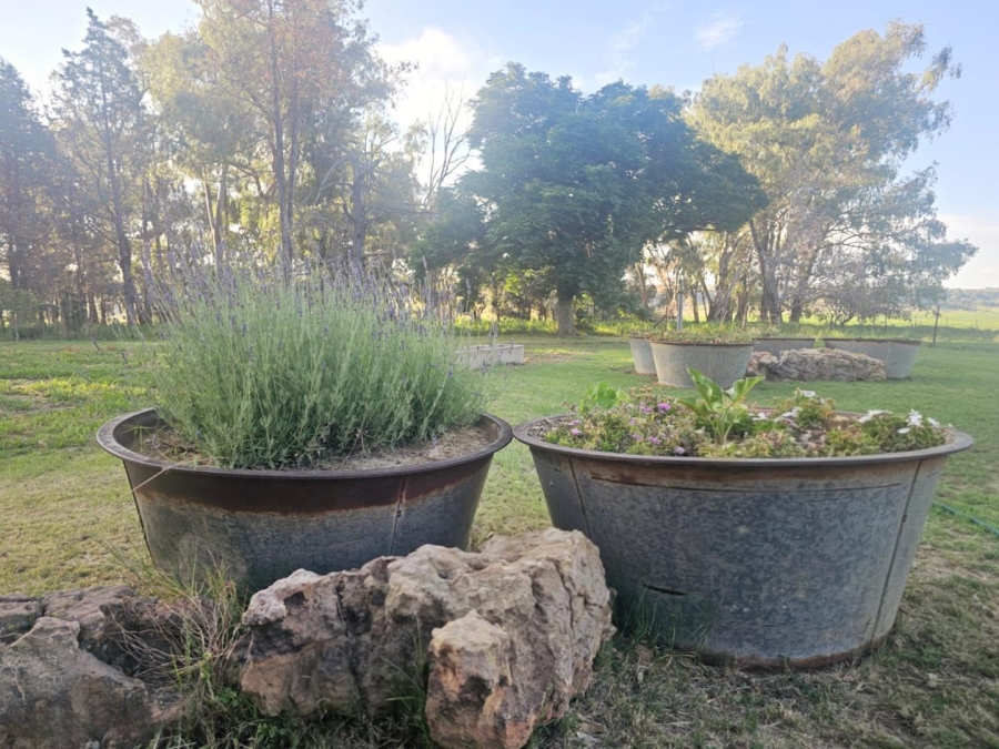4 Bedroom Property for Sale in Ladybrand Free State